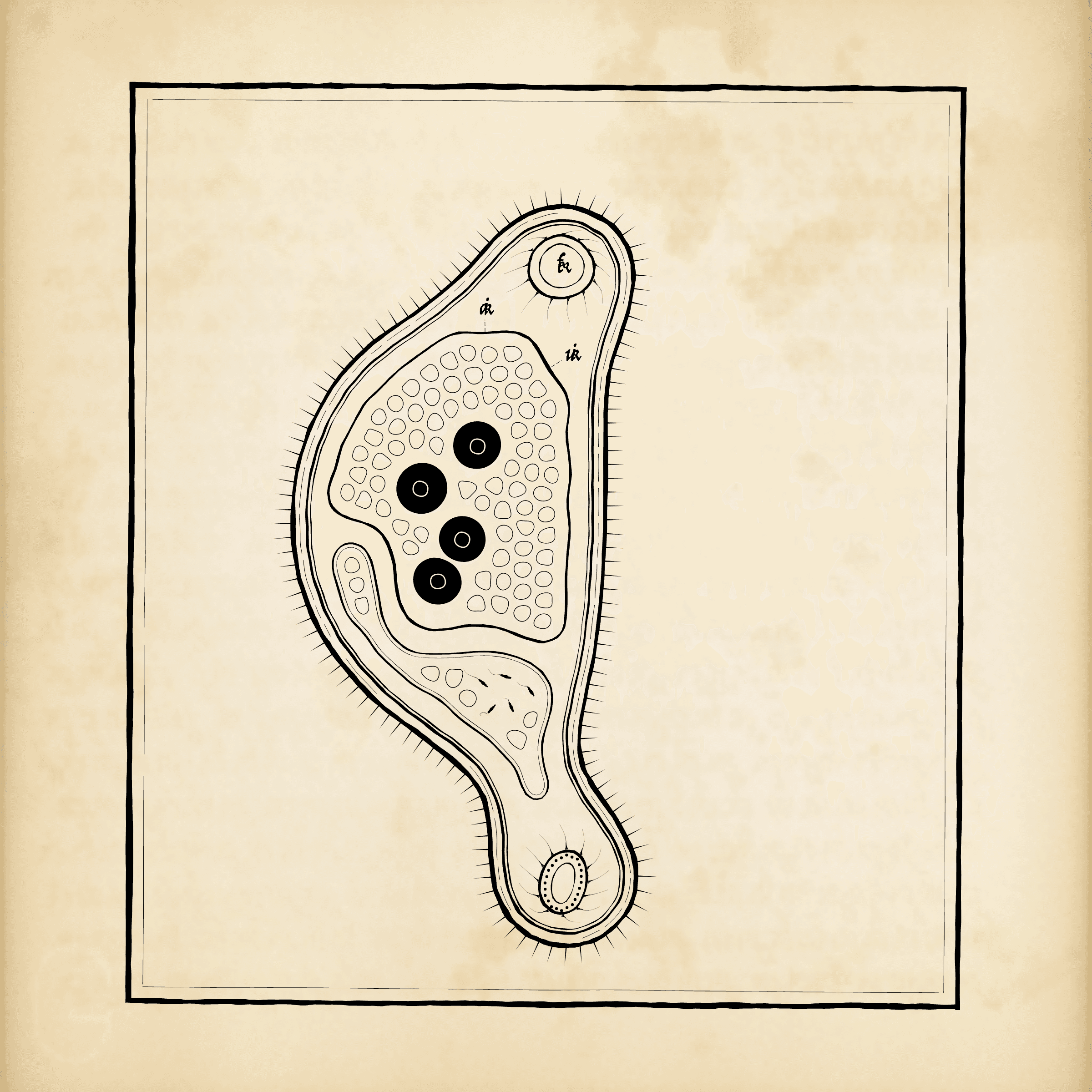 Cytographia