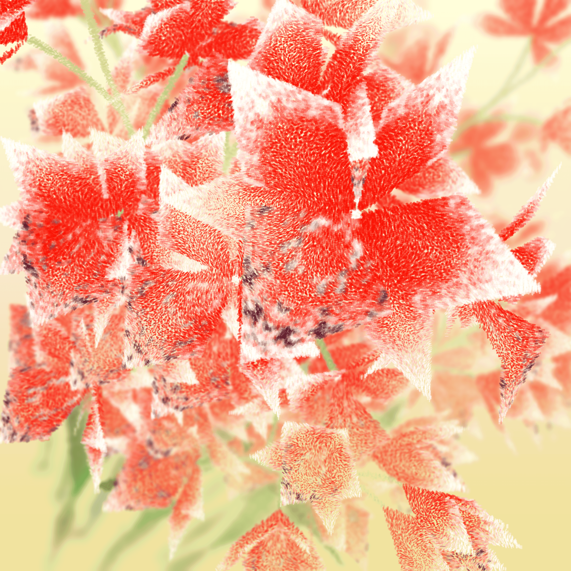 Cattleya